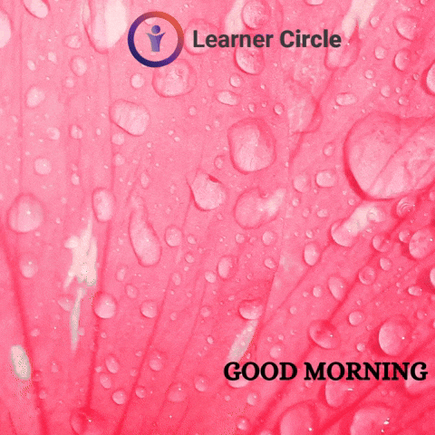 Good Morning Bird GIF by Learner Circle