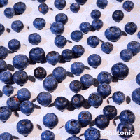 Flatten Stop Motion GIF by Evan Hilton