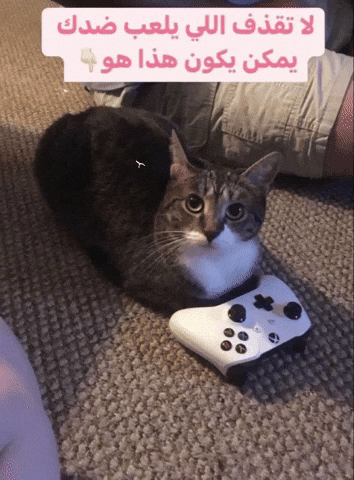 Yuolil GIF