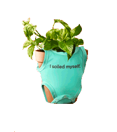 Plant Keepgrowing Sticker by MiracleGroCanada