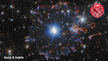 Stars Glowing GIF by ESA/Hubble Space Telescope