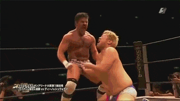 wrestling this move is called the **** flex flip GIF by Digg