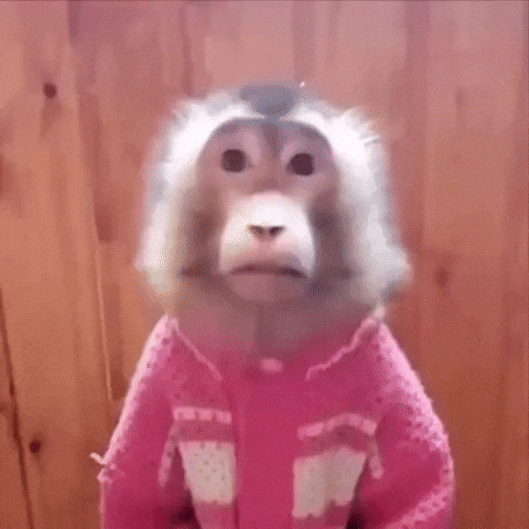 Czz GIF
