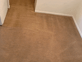 Summit Carpet Floor Care GIF