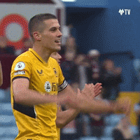 Come On Football GIF by Wolves