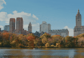 New York Nyc GIF by NEON