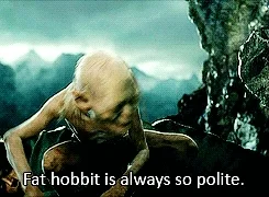 the lord of the rings sam GIF