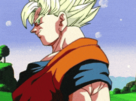 Dragon Ball Z Ok GIF by slicedbread