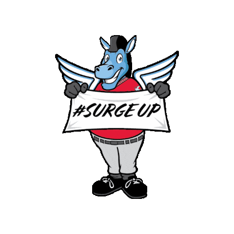 Wichita Wind Surge Sticker