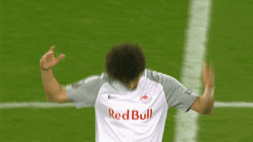 keep going come on GIF by FC Red Bull Salzburg