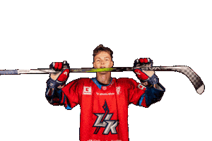 Cech Sticker by UK KINGS PRAGUE