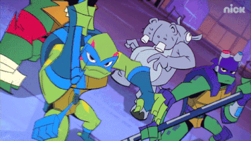 ninja turtles leo GIF by Teenage Mutant Ninja Turtles