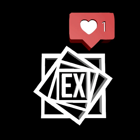eximie logo GIF