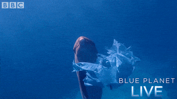bbc one oceans GIF by BBC