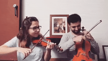 viola cello GIF by bambera