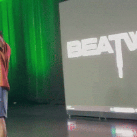 Show Performance GIF by L'Sonne