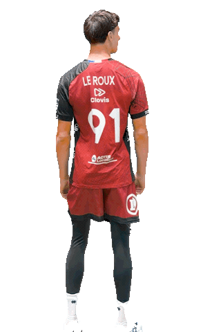 Le Roux Volleyball Sticker by CVB52