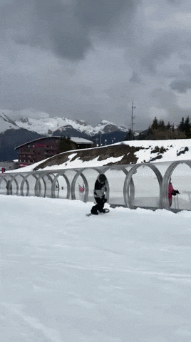 GIF by MINT Snowboarding