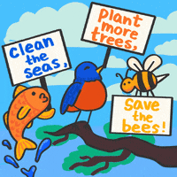 Happy Bee Day Gifs Get The Best Gif On Giphy Happy Bee Day Gifs Get The Best Gif On Giphy