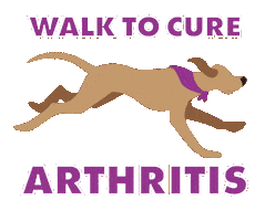 Dog Walk Sticker by Arthritis Foundation