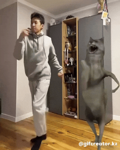 Wolf Tiktok Dance GIF