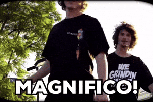 Skateboard Magnifico GIF by Thank You