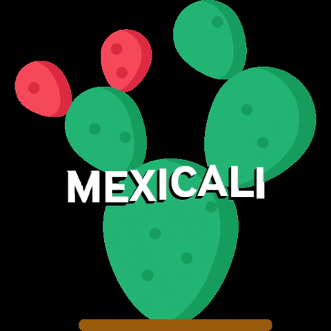 Mexicali 686 GIF
