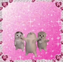 Dance Cats GIF