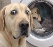 Shocked Asombrado GIF by DJ CHIMO BAYO