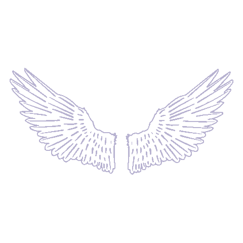 Angel Wings Sticker by Kacey Musgraves
