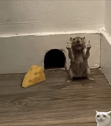 Cheese Mouse GIF