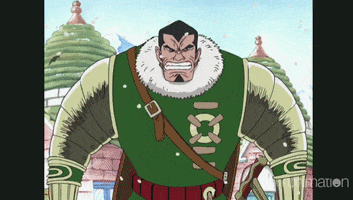 one piece bison GIF by Funimation