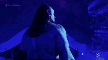 the undertaker sport GIF by WWE