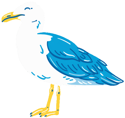 96 Gambar Burung Kartun Gif Terbaru
