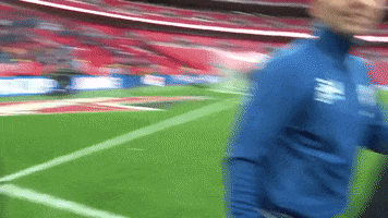 fa cup final 2013 kiss cam GIF by Wigan Athletic