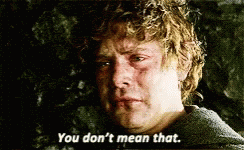 Apologize Lord Of The Rings GIF