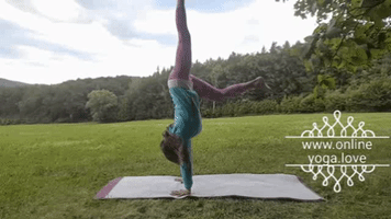 GIF by onlineyoga.love