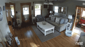 excited come home GIF by Nest