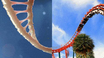 combined gifs GIF