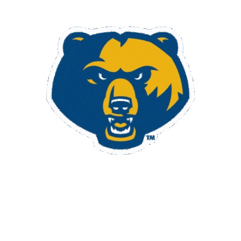 Lets Go Sticker by WVU Tech Golden Bears