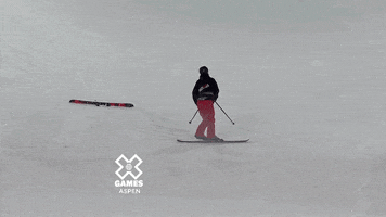 Hop Along Skiing GIF by X Games 