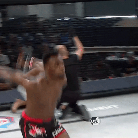 Happy Knockout GIF by United Fight League