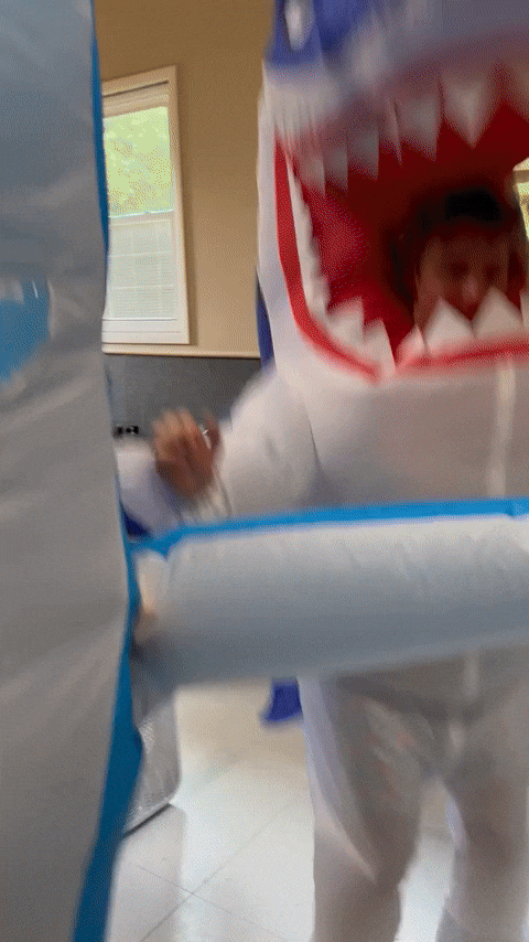 Costume Shark GIF