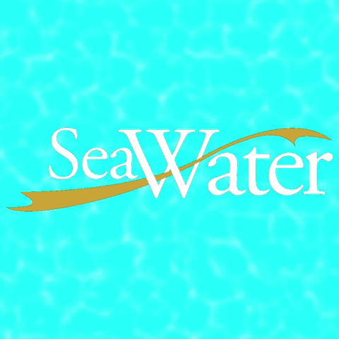 seawaterofficial summer holiday sea luxury GIF