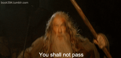 Giphy - you shall not pass the lord of the rings GIF