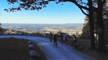 Ysr GIF by Sewanee | The University of the South
