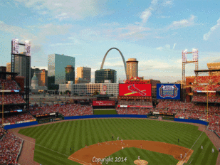 st louis cardinals