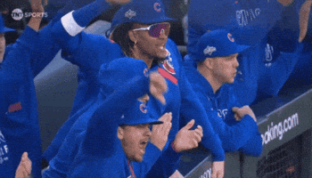 Chicago Cubs Baseball GIF by MLB