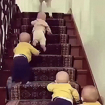 babies stairs GIF
