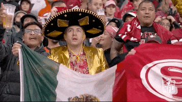 Viva Mexico Football GIF by NFL
